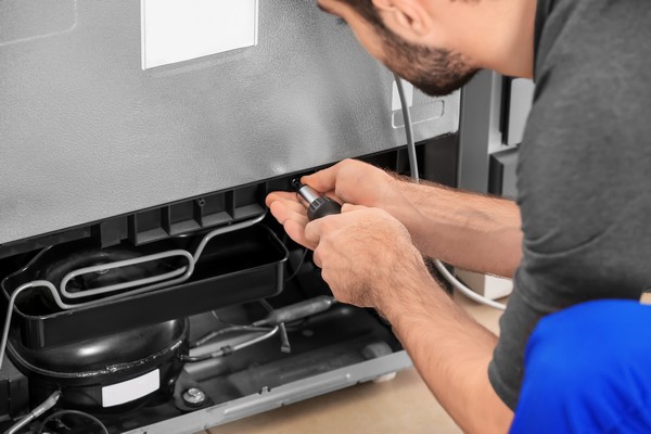 Professional Bellevue refrigerator repair in WA near 98007